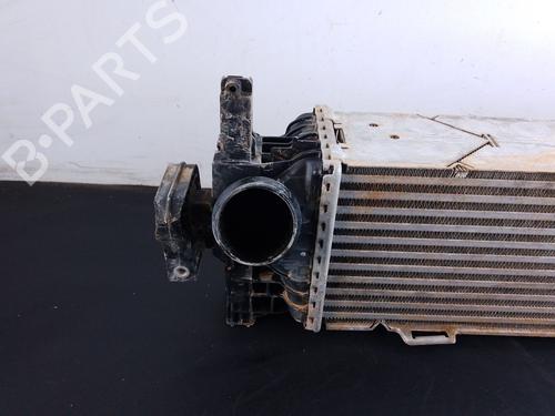 Intercooler BMW X6 (G06, F96) xDrive 30 d | BP27473471M30 
