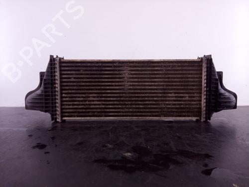Intercooler MERCEDES-BENZ M-CLASS (W164)  | BP25742180M30 
