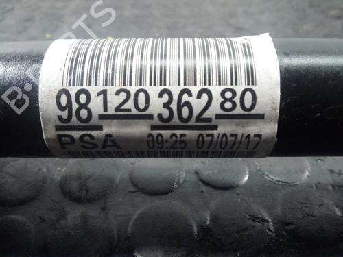Left front driveshaft CITROËN C-ELYSEE (DD_)  | BP11090961M38 