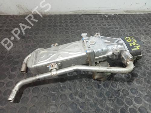 Egr SKODA FABIA II (542) 1.6 TDI | BP14062790M69 