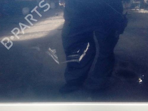 Left front door SUZUKI VITARA (ET, TA, TD)  | BP18140619C2 