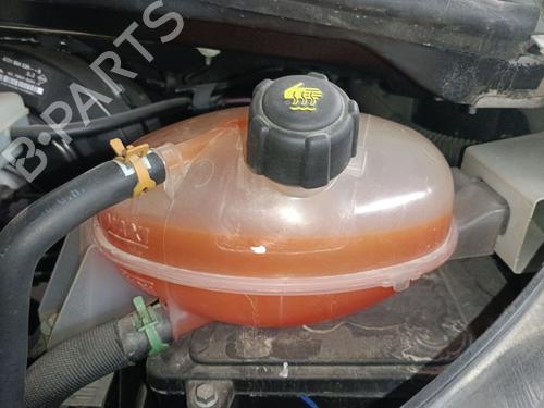 Ekspansjonstank Ekspansjonstank RENAULT MASTER III Platform/Chassis (EV, HV, UV) 2.3 dCi 125 FWD (EV0C, EV0D, EV0J, HV0C, HV0D, HV0H,... (125 hp) 36700370 36700370