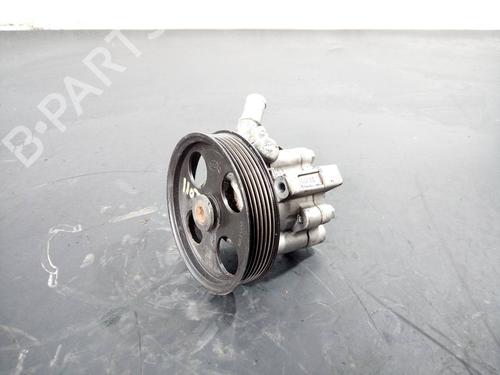 Styring servopumpe OPEL INSIGNIA A (G09) [2008-2017]  12491825