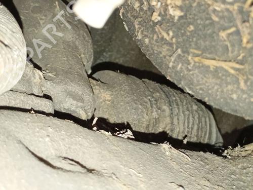 BP31920983M22 main image