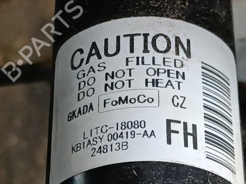 Left rear shock absorber FORD PUMA (J2K, CF7) 1.0 EcoBoost mHEV | BP36529236M18 - Image 2