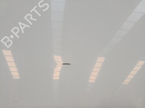 Right slide door DACIA DOKKER MPV (KE_) 1.5 dCi (KEAJ, KEAH) | BP31939865C75