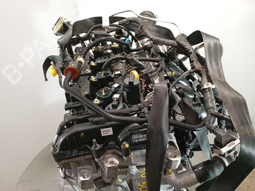 Engine FORD KUGA III (DFK)  | BP29113668M1 