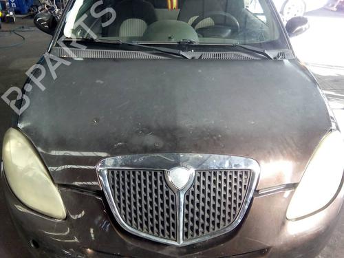 Used Hood LANCIA YPSILON (843_) 1.3 D Multijet (843.AXF11, 843.AXF1A, 843.AXM11,... (75 hp) 8802003