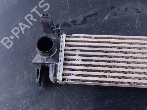 Intercooler MERCEDES-BENZ VITO Tourer (W447) 111 CDI / 111 BlueTEC (447.701, 447.703, 447.705) | BP29199685M30 