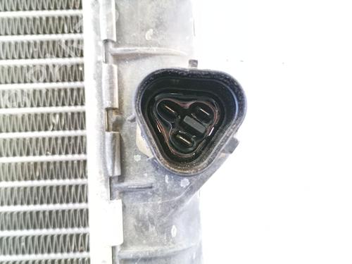 Water radiator SEAT IBIZA IV (6J5, 6P1) 1.9 TDI | BP29909662M31