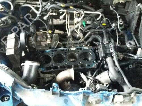 Grill FORD FOCUS II (DA_, HCP, DP)  | BP1446043C40 
