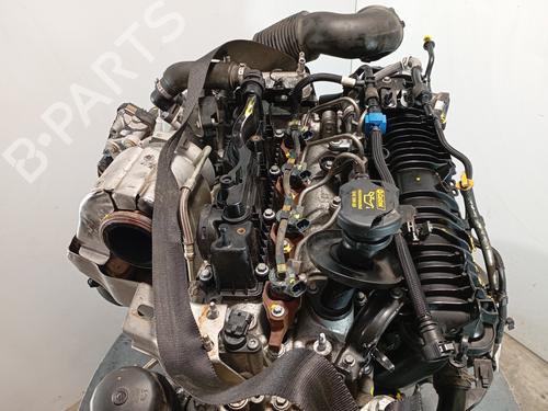 Motore LAND ROVER RANGE ROVER EVOQUE (L538) 2.0 D 4x4 | BP21690313M1