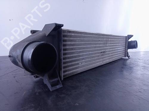 Intercooler LAND ROVER FREELANDER 2 (L359)  | BP19340091M30 