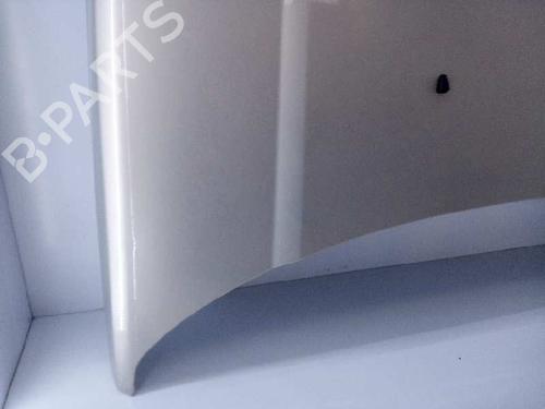 Hood LAND ROVER DISCOVERY III (L319) 2.7 TD 4x4 | BP5655106C1 