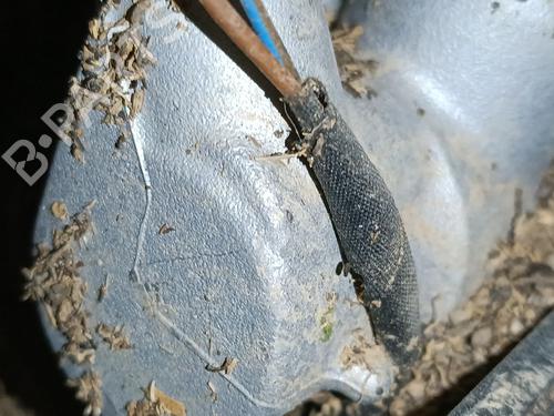 Brake master cylinder SKODA KAROQ (NU7, ND7) 1.5 TSI | BP33436992M77 - Image 1