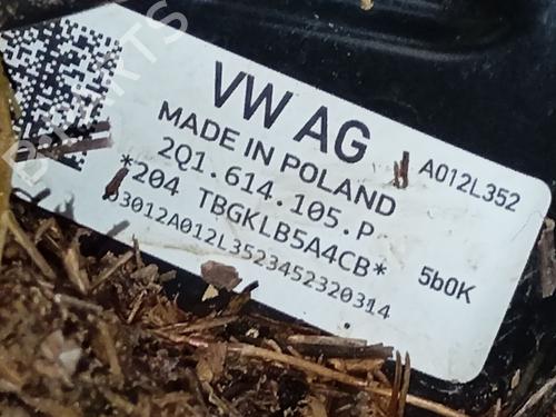 Used Servo brake Servo brake VW POLO VI (AW1, BZ1, AE1) 1.0 TSI (95 hp) 33336916 33336916