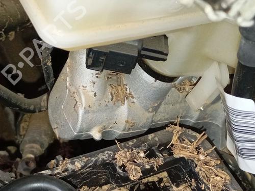 Used Brake master cylinder Brake master cylinder SKODA SCALA (NW1) 1.0 TSI (116 hp) 34509055 34509055