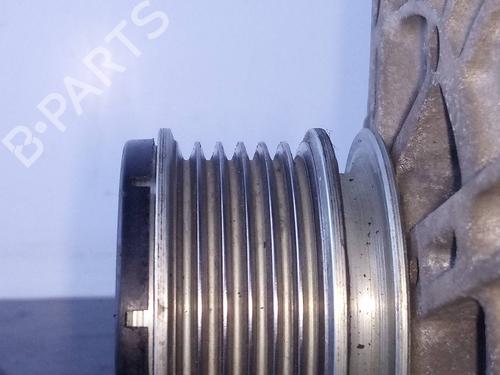 Alternator RENAULT MEGANE III Hatchback (BZ0/1_, B3_)  | BP21484283M7 