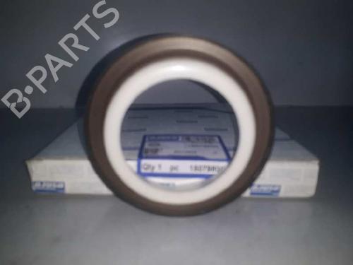 Andre RENAULT KANGOO (KC0/1_) | BP30385008O1