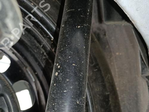 Dämpfer hinten links für OPEL CORSA F (P2JO) 1.2 (68) (101 hp) 28097670