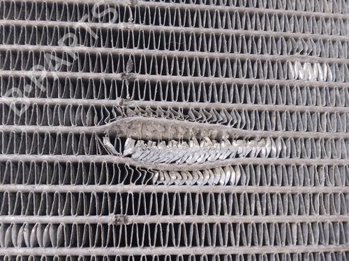 Køler FORD TRANSIT CUSTOM V362 Van (FY, FZ)  | BP29909642M31