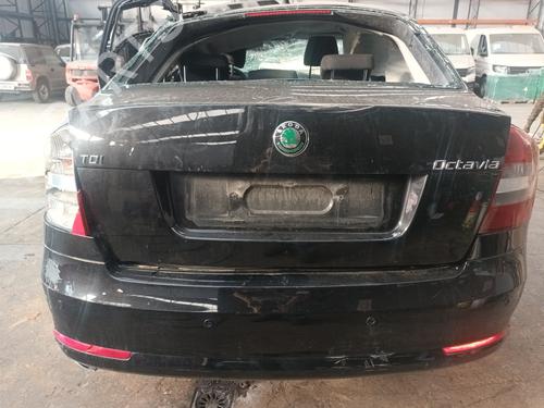 Engine SKODA OCTAVIA II (1Z3) 1.6 TDI | BP30965682M1