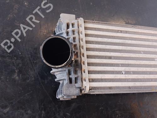 Intercooler FORD TRANSIT V363 Van (FCD, FDD) 2.0 EcoBlue | BP29909650M30
