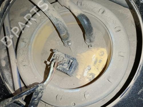 Used Fuel pump BMW X5 (E53) 3.0 d (218 hp) 29199944