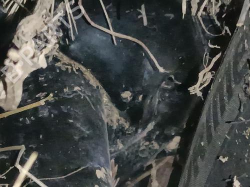 BP32859242M17 main image