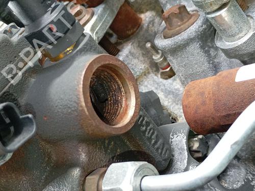 Engine RENAULT SCÉNIC III (JZ0/1_) | BP36014135M1 - Image 9