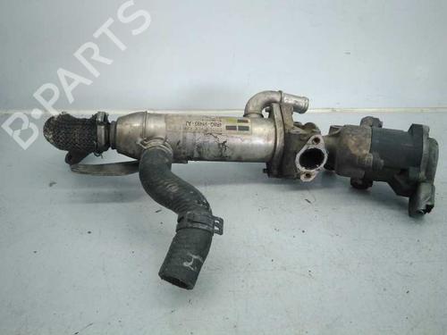 Egr LAND ROVER RANGE ROVER SPORT I (L320) 2.7 D 4x4 | BP4884171M69 