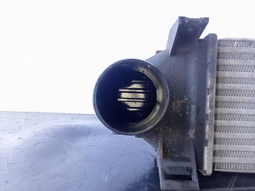 Intercooler LAND ROVER FREELANDER 2 (L359)  | BP19340091M30 