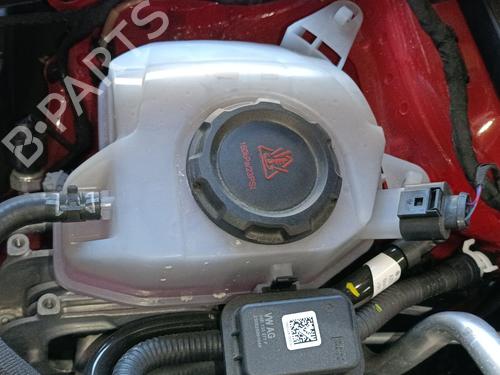 Used Expansion tank SKODA SCALA (NW1) 1.5 TSI (150 hp) 28139072