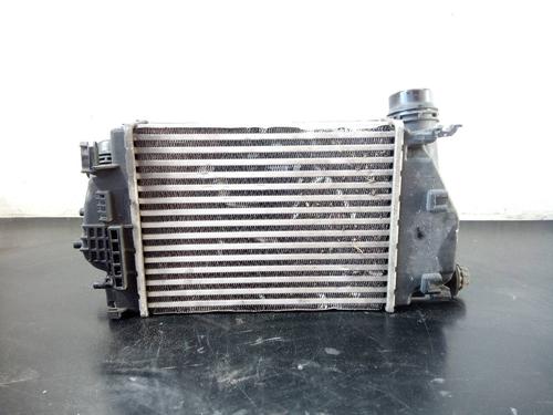 Intercooler RENAULT KADJAR (HA_, HL_) 1.6 dCi 130 4x4 (HLA4) | BP11175896M30 