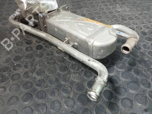 Egr SKODA FABIA II (542) 1.6 TDI | BP14062790M69 