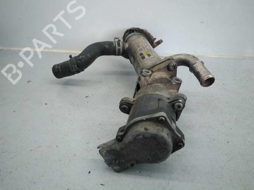 Egr LAND ROVER RANGE ROVER SPORT I (L320) 2.7 D 4x4 | BP4884171M69 