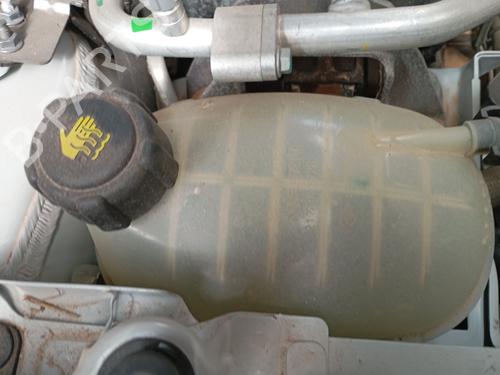 Used Expansion tank RENAULT ARKANA I (LCM_, LDN_) [2019-2025]  29067091