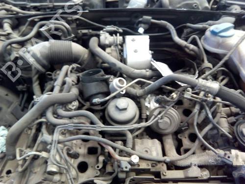 Hood AUDI A6 C6 (4F2) 3.0 TDI quattro | BP7918844C1 