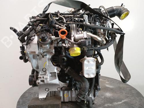 Used Engine VW TIGUAN (5N_) 2.0 TDI (110 hp) 28110756