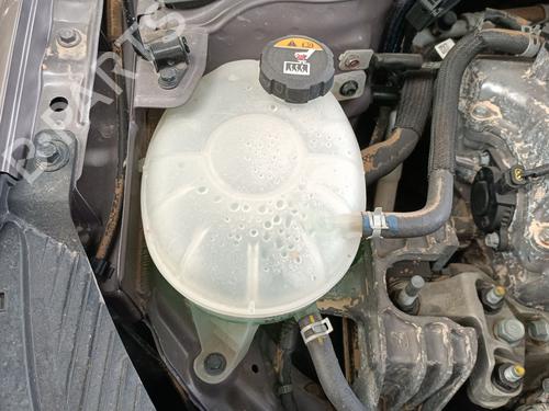 BP29955258C120 main image