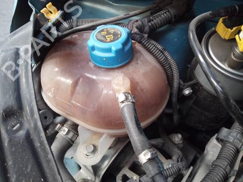 Ekspansjonstank FORD KA (RU8) 1.2 (69 hp) 12494643