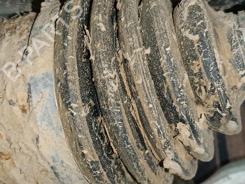 Used Right front driveshaft Right front driveshaft FORD PUMA (J2K, CF7) 1.0 EcoBoost mHEV (125 hp) 36642865 36642865