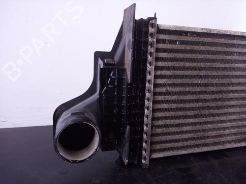 Intercooler MERCEDES-BENZ M-CLASS (W164)  | BP25742180M30 