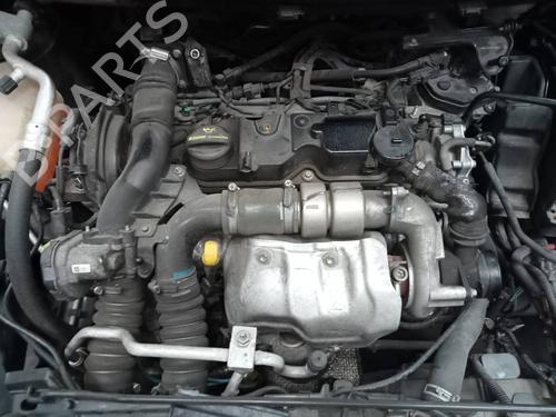 Sicherheitsgurt hinten links FORD FIESTA VI (CB1, CCN) 1.6 TDCi | BP15726350I29 