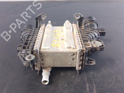 Intercooler RENAULT EXPRESS Box Body/MPV 1.5 Blue dCi 75 (F6AA) | BP28141019M30 