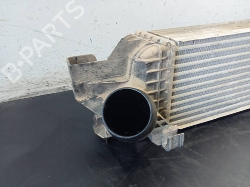 Intercooler BMW X1 (F48) xDrive 20 d | BP15658779M30 