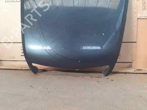Hood VW PHAETON (3D1, 3D2, 3D3, 3D4, 3D6, 3D7, 3D8, 3D9) 3.0 V6 TDI 4motion | BP5776109C1 