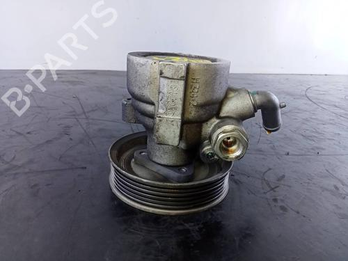 Steering pump FIAT DOBLO Cargo (263_)  | BP19485829M99 