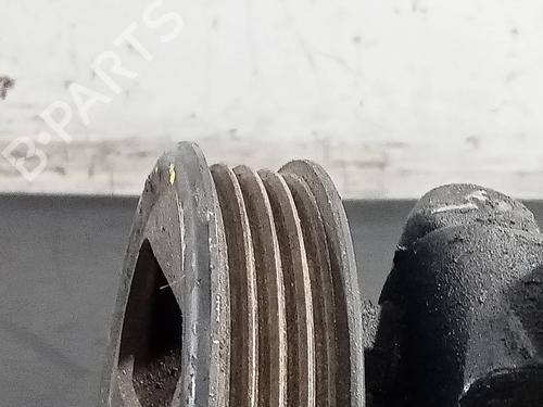 Steering pump NISSAN PATHFINDER III (R51) 2.5 dCi 4WD | BP13656672M99 