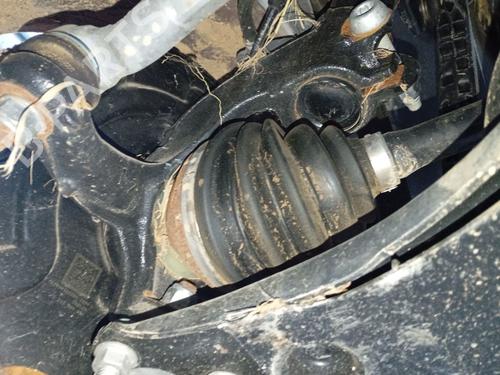 BP32470691M25 main image